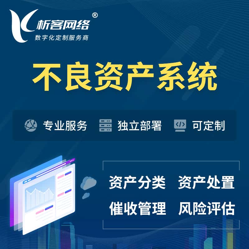 内蒙古不良资产管理系统