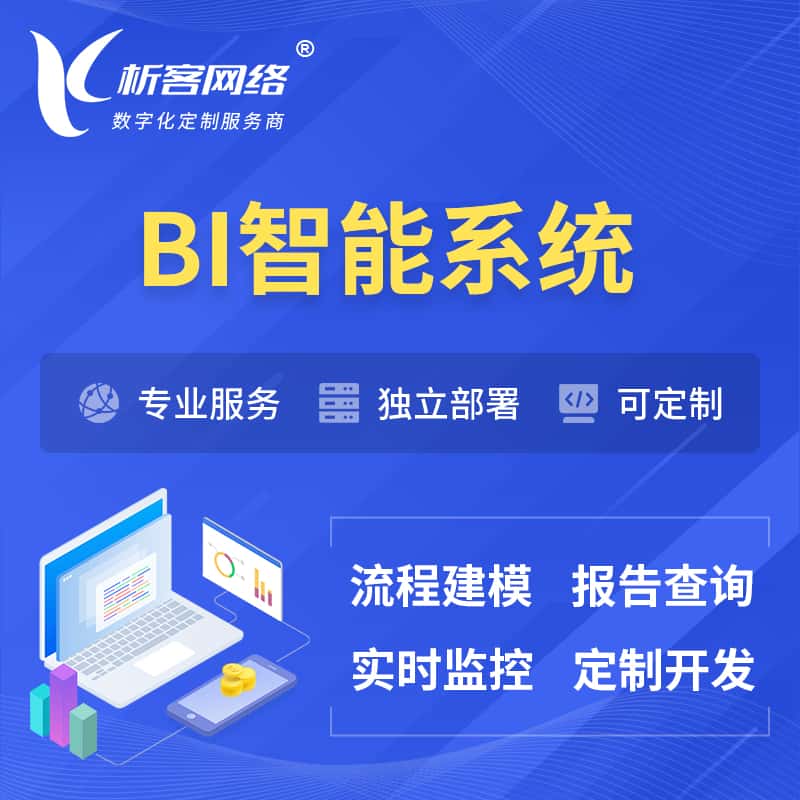 内蒙古BI智能系统 | BI数据可视化