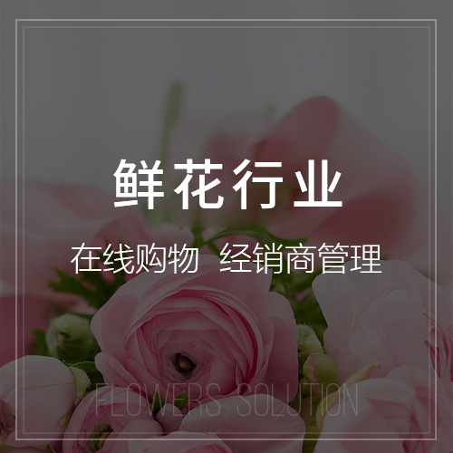 内蒙古网站建设中的用户体验优化策略